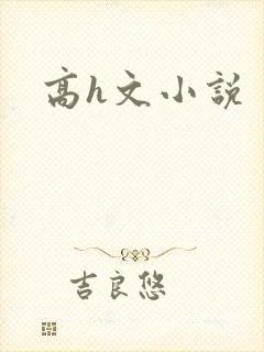高h文小说