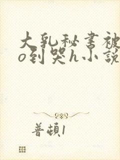 大乳秘书被cao到哭h小说