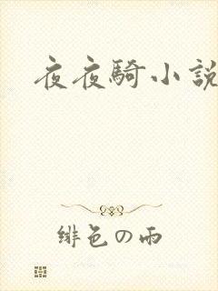 夜夜骑小说