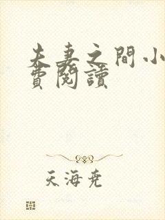 夫妻之间小说免费阅读