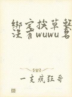 绑定挨草系统后没有wuwu名字