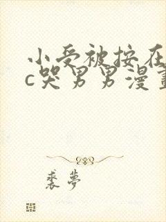 小受被按在墙上c哭男男漫画