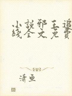 小说邪王追妻在线全文免费阅读