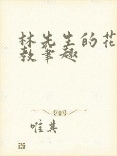 林先生的花式管教笔趣