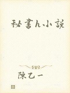 秘书h小说
