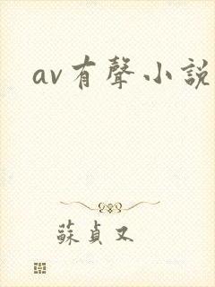 av有声小说