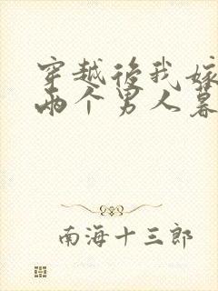 穿越后我嫁给了两个男人暮色酒歌