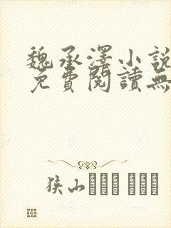 魏承泽小说全文免费阅读无弹窗笔趣