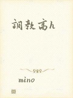 调教高h