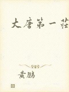 大唐第一庄