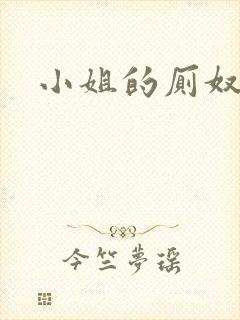 小姐的厕奴封面