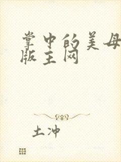 掌中的美母第一版主网