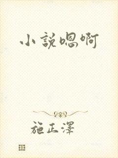 小说嗯啊