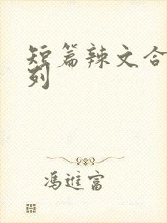 短篇辣文合集系列