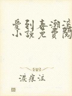 爱到春潮滚滚来小说免费阅读