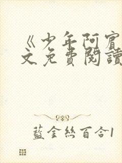 《少年阿宾》全文免费阅读