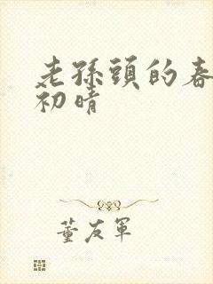 老孙头的春天林初晴封面