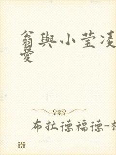 翁与小莹凌晨欢爱封面