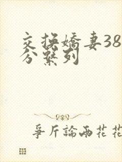 交换娇妻38部分系列