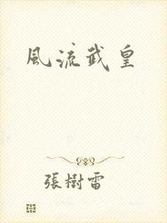 风流武皇封面