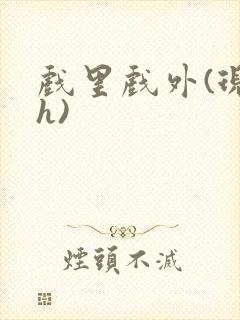 戏里戏外(现场h)