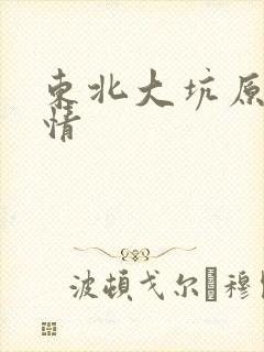 东北大坑原始激情