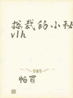 总裁的小秘书1v1h