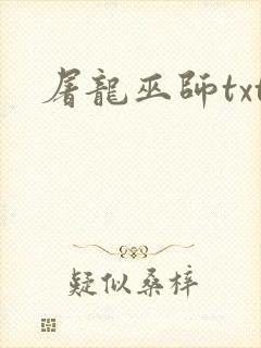 屠龙巫师txt