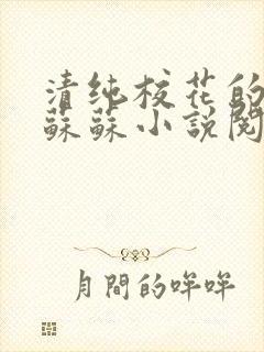 清纯校花的日常苏苏小说阅读全文封面