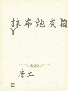 抹布炮灰日记BY