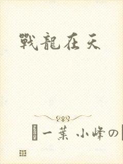战龙在天封面