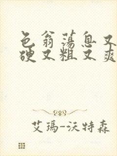 色翁荡息又大又硬又粗又爽