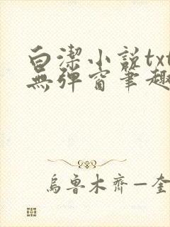 白洁小说txt无弹窗笔趣阁