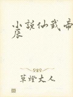 小说仙武帝尊叶辰