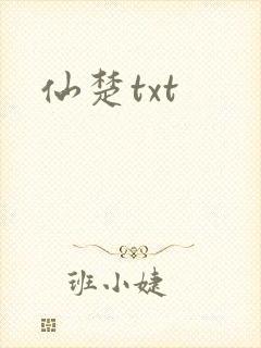 仙楚txt封面