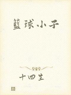 篮球小子