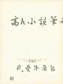 高h小说笔趣阁封面