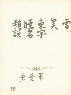 赵晓东吴雪晴小说名字封面