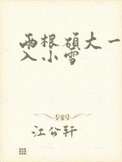 两根硕大一起挤入小雪