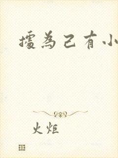 据为己有小说封面