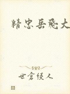 精忠岳飞大结局