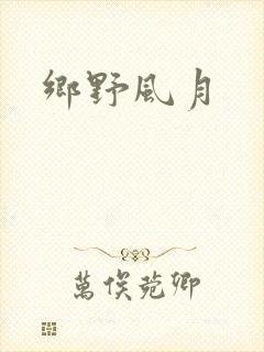 乡野风月封面