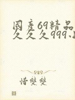 国产69精品久久久久999小说