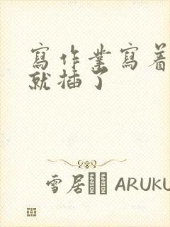 写作业写着写着就插了