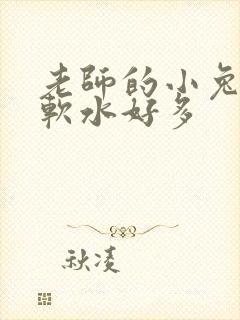 老师的小兔子好软水好多封面