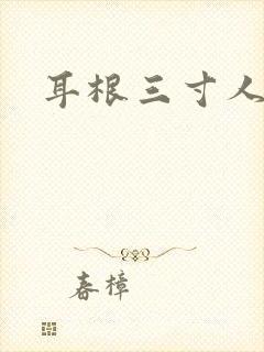 耳根三寸人间