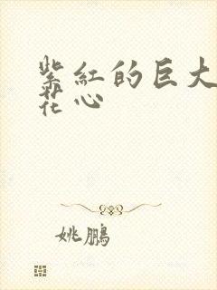 紫红的巨大顶开花心封面