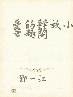 爱的释放小说 笔趣阁