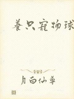 养只宠物球封面