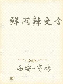 鲜网辣文合集